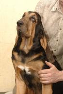 Basnicky, already thinking he is superior at just 4 months!